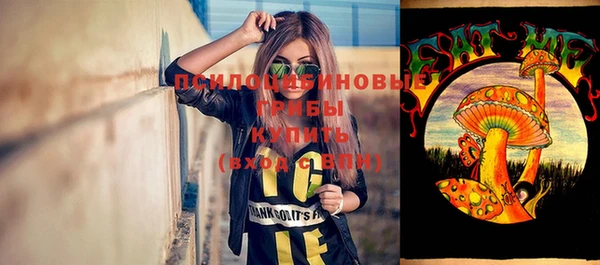 стафф Алзамай