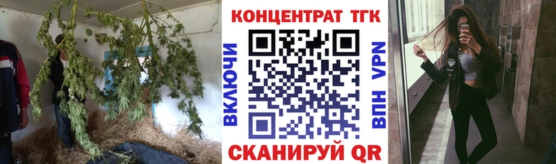 Дистиллят ТГК жижа  Мураши 